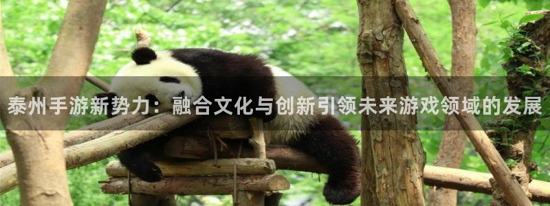 大神28统计网：泰州手游新势力：融合文化与创新引领未来游戏领