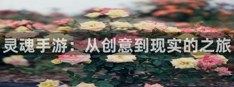 大神28大发28：灵魂手游：从创意到现实的之旅