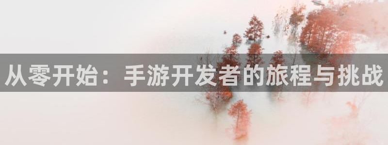 大神28预测网站：从零开始：手游开发者的旅程与挑战
