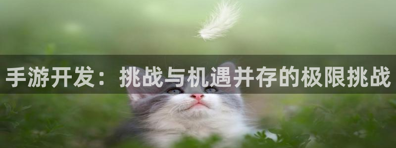 大神28官方网站：手游开发：挑战与机遇并存的极限挑战