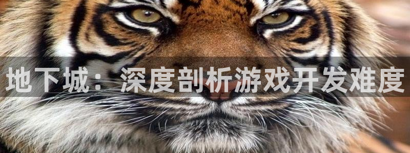 大神28结果预测在线