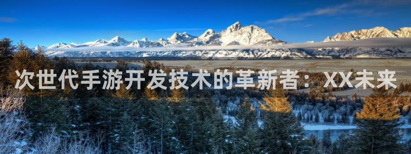 大神28在线：次世代手游开发技术的革新者：XX未来