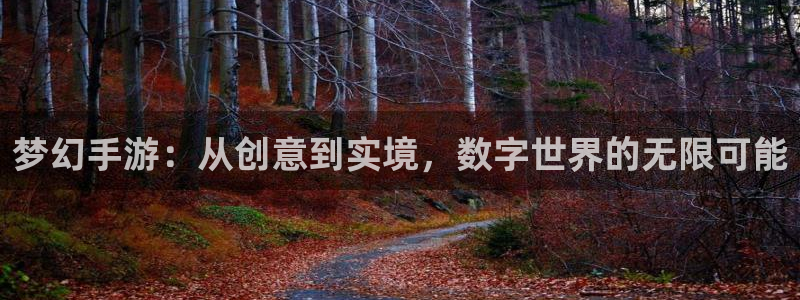 28大神怎么用不了了：梦幻手游：从创意到实境，数字世界的无限