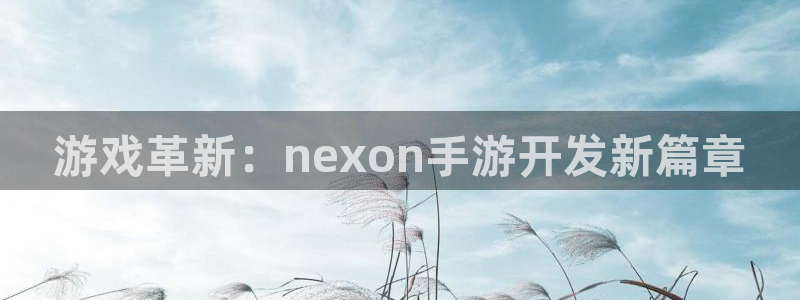 28大神2018版：游戏革新：nexon手游开发新篇章