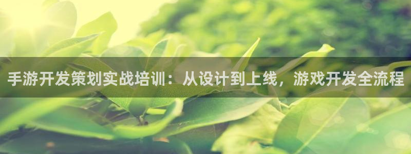 大神pc28官网开奖：手游开发策划实战培训：从设计到上线，游