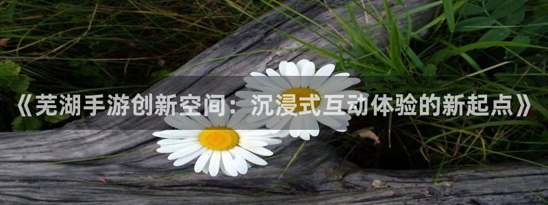 28大神开奖软件：《芜湖手游创新空间：沉浸式互动体验的新起点