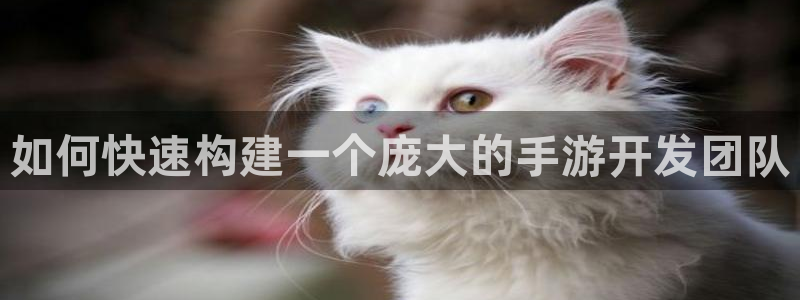 pc28大神软件客户端下载：如何快速构建一个庞大的手游开发团